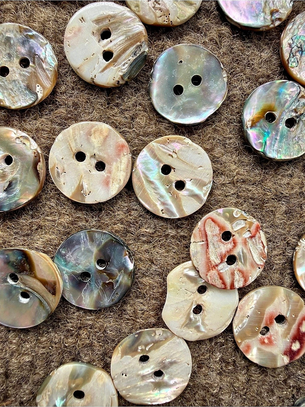 Abalone Shell Buttons - Picture 3 of 4